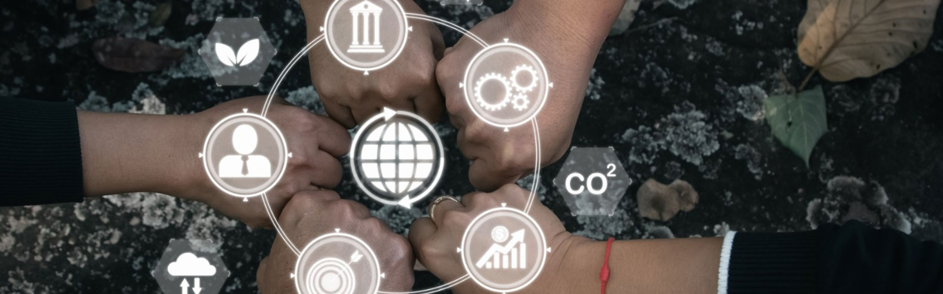 Corporate Governance Reports